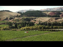 Load and play video in Gallery viewer, Clark Estate Clericus "Ferox SB-101" Marlborough Sauvignon Blanc 2018