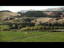 Load and play video in Gallery viewer, Clark Estate Black Label Marlborough Sauvignon Blanc &quot;Upper Awatere&quot; 2021
